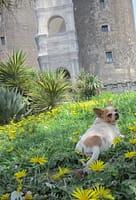 inbound1906060993503059668