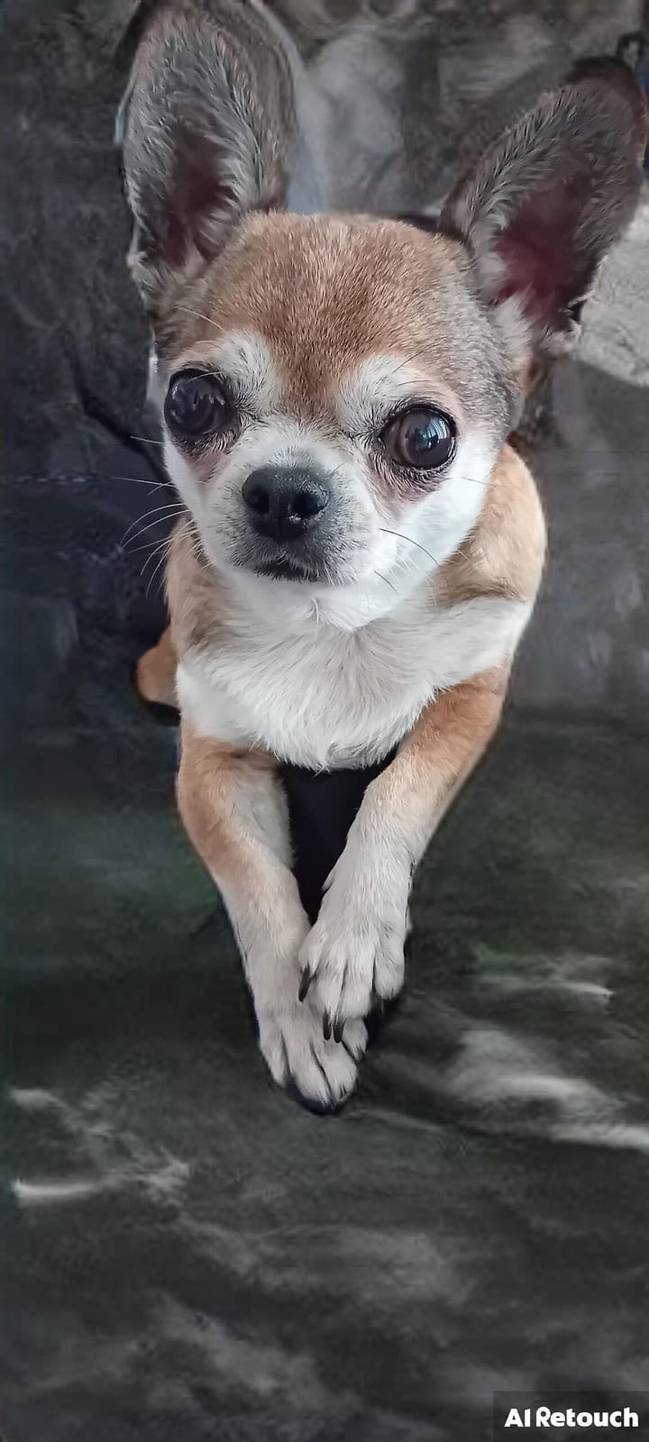 Jewel 1 inbound3347399929701471511