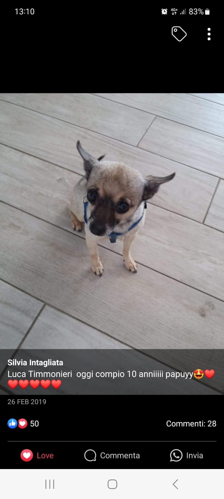 inbound5292273211358886797