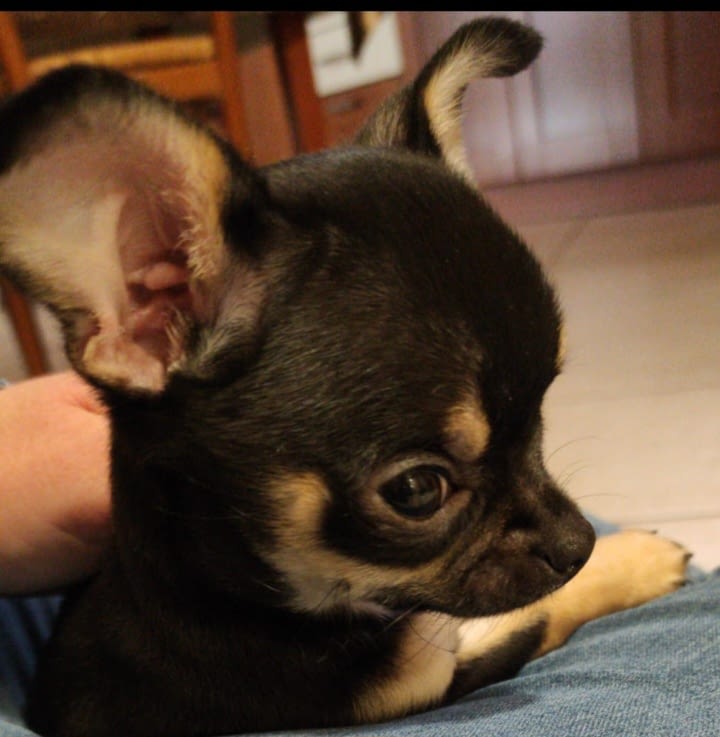 Margot 2 inbound5110725934746398372