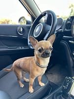 Pablo e Maciste 7 Pablo e Maciste