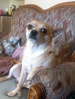 inbound2348121840004092949