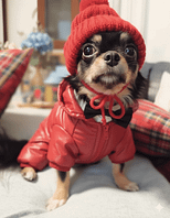 Isabel 2 guest 1762079054 481b inbound5691505690594465411