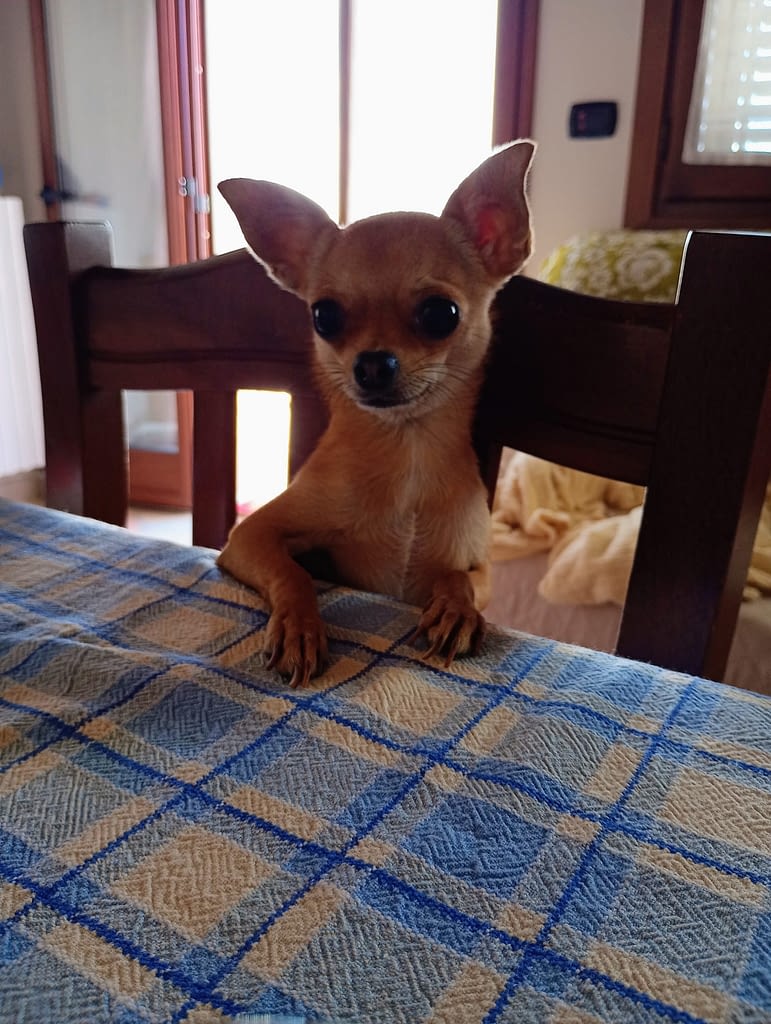 MIA 2 inbound4615855240191024271