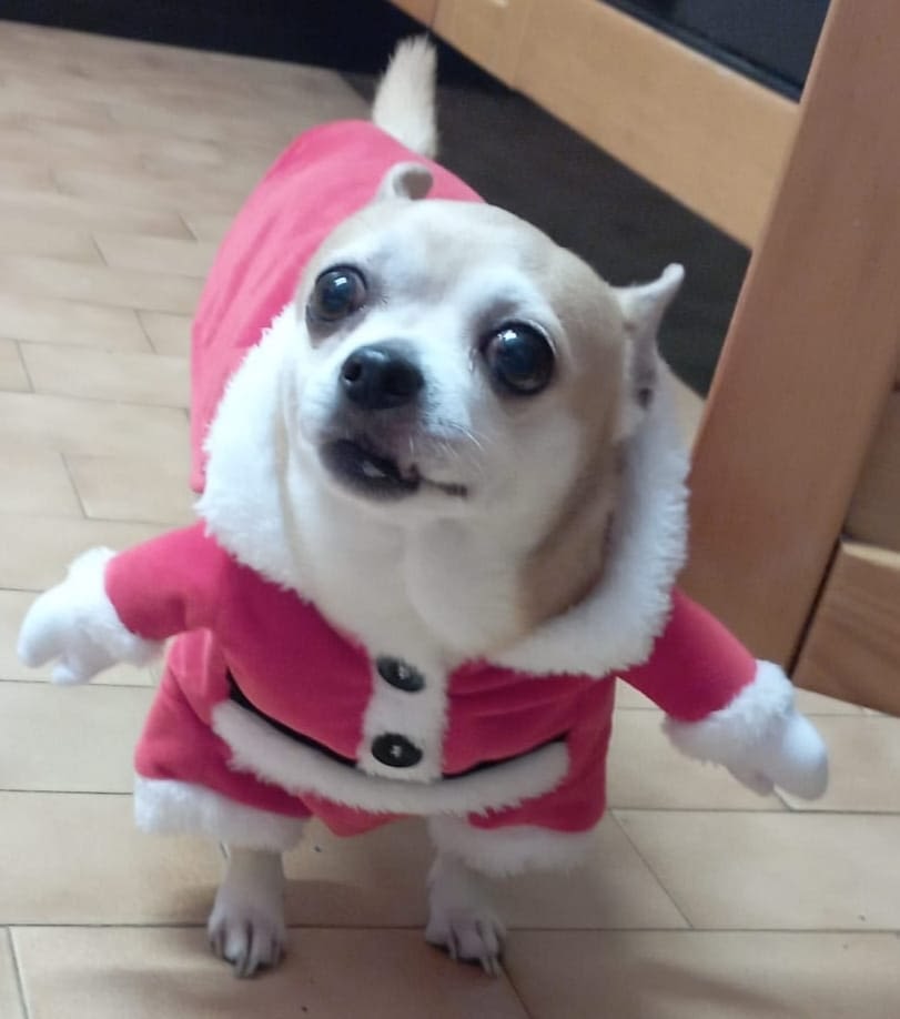 Eros 2 inbound9094282676505177904