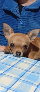 MIA 1 inbound8409933934023942614