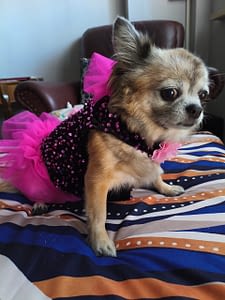 Milly 2 1000010190 scaled