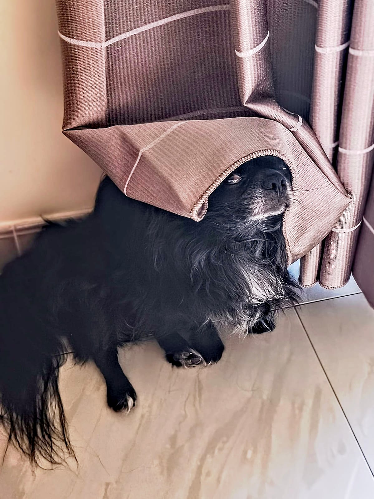 Kalos 1 inbound4321910540178753823