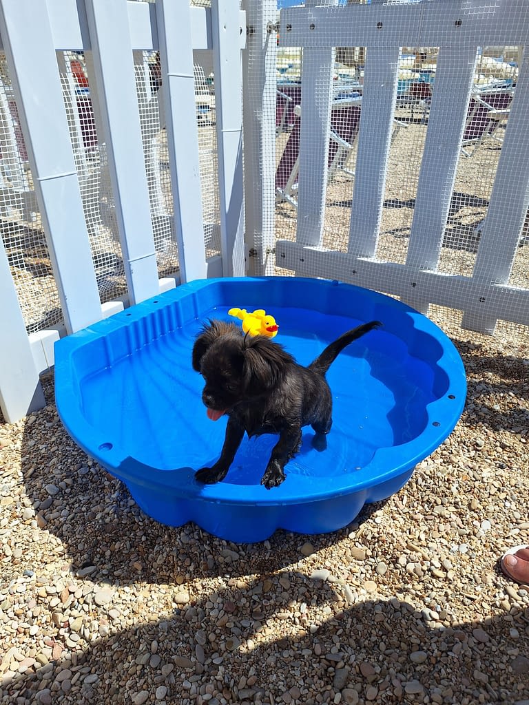 Sofi 2 20250630 110804 scaled