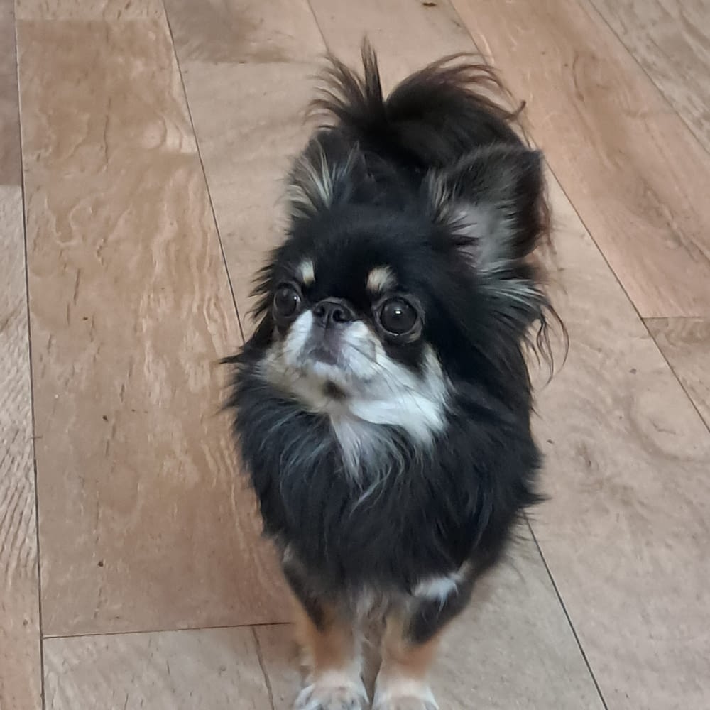 Marilyn 2 inbound6548674612925766256 scaled