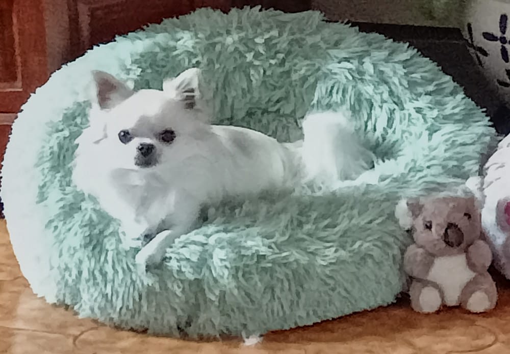 Zak 2 inbound7978710543567267145