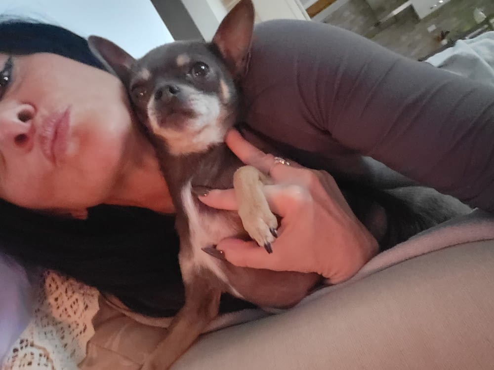 Dylan 2 inbound2286065447648750964