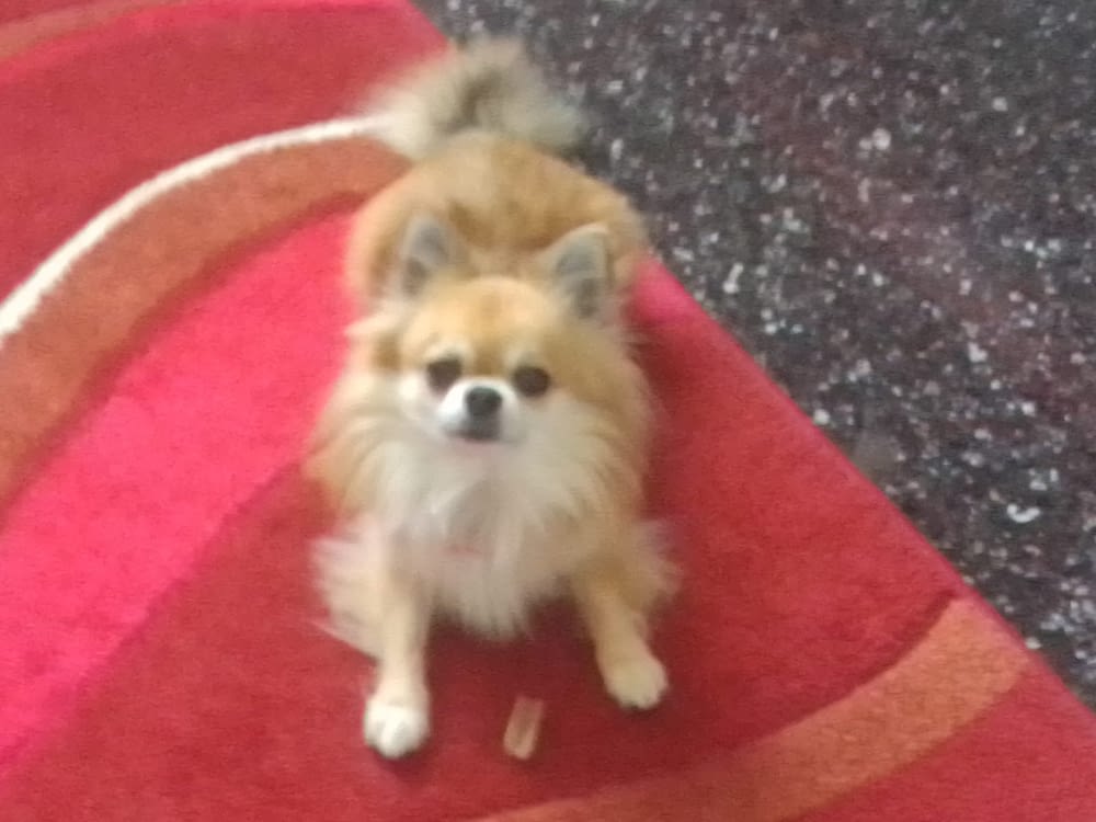 Denver 2 inbound2699471935516892679