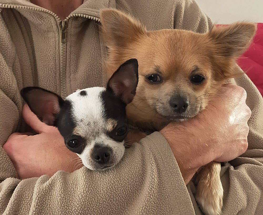 Sally e Deddy 2 IMG 20240321 104659