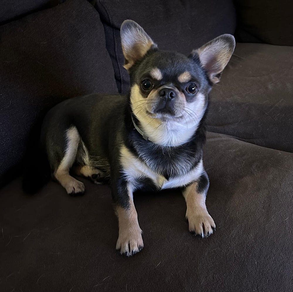 Yago 2 7e04eb99 a0e1 46d1 bdba 144aea2c3bf8