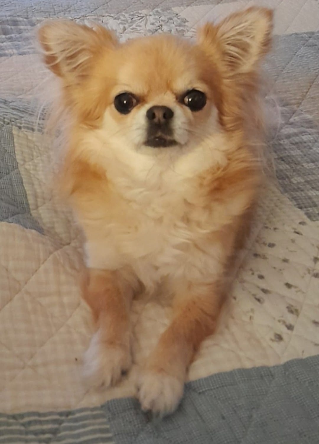 Mia 1 inbound6322432280651204317