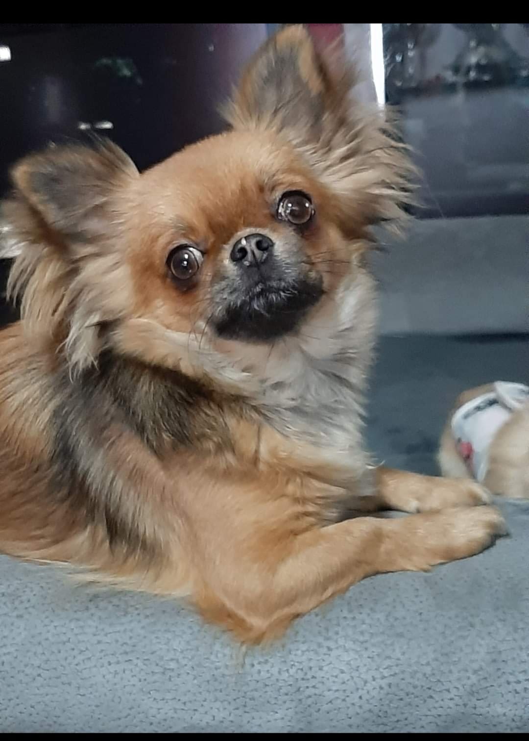 Tessa 1 inbound7007756846796124532