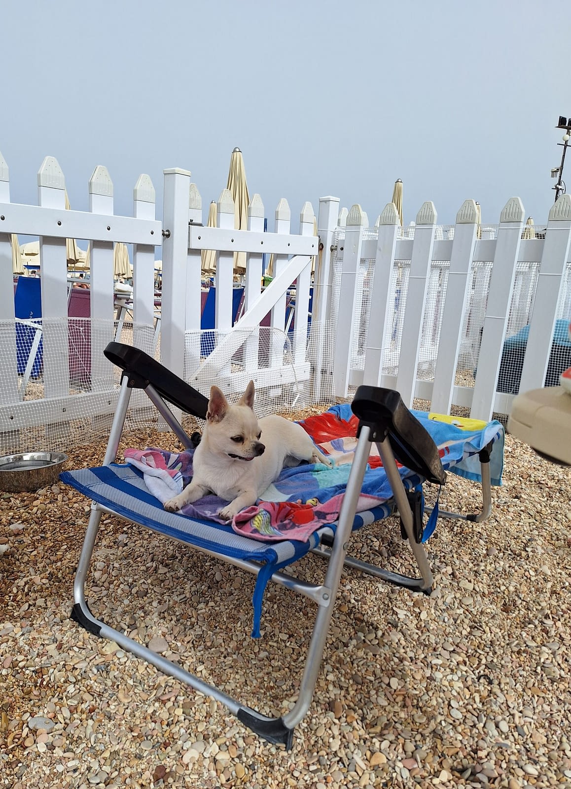 20240619 165335 scaled