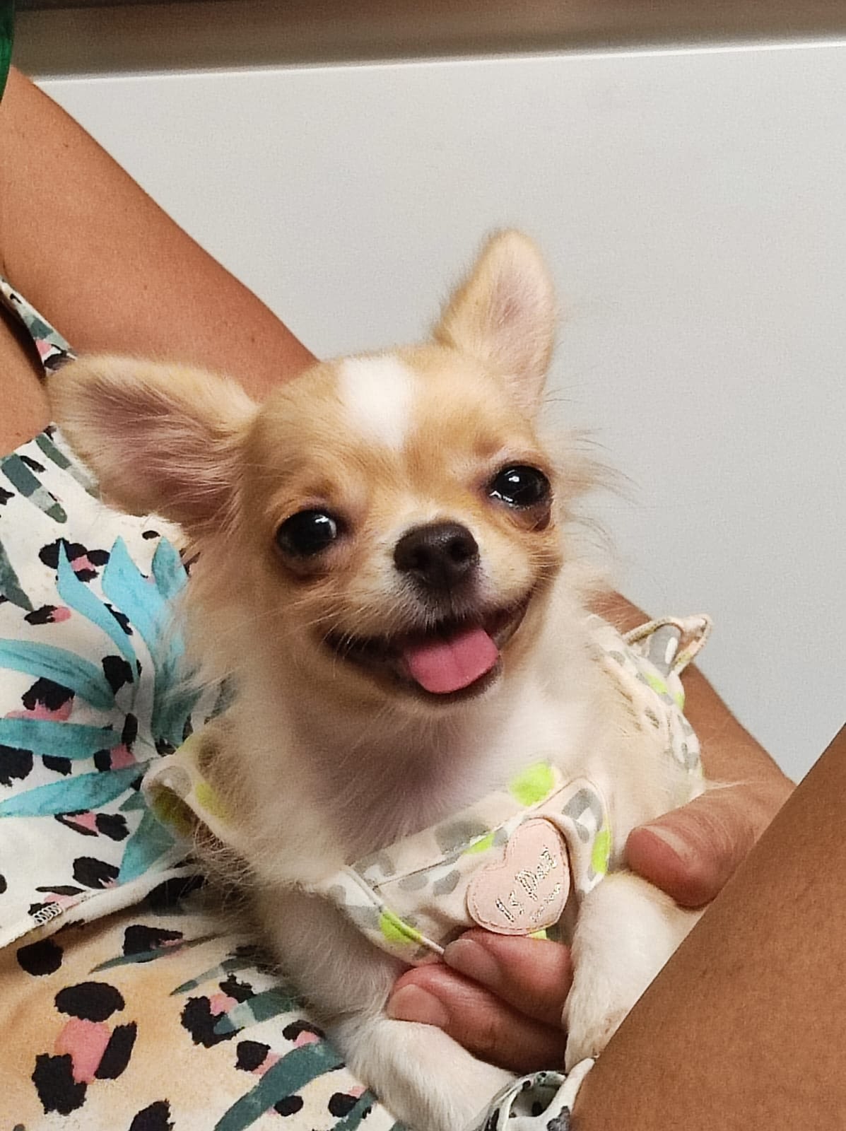 Sissi 1 inbound8830244260566180477