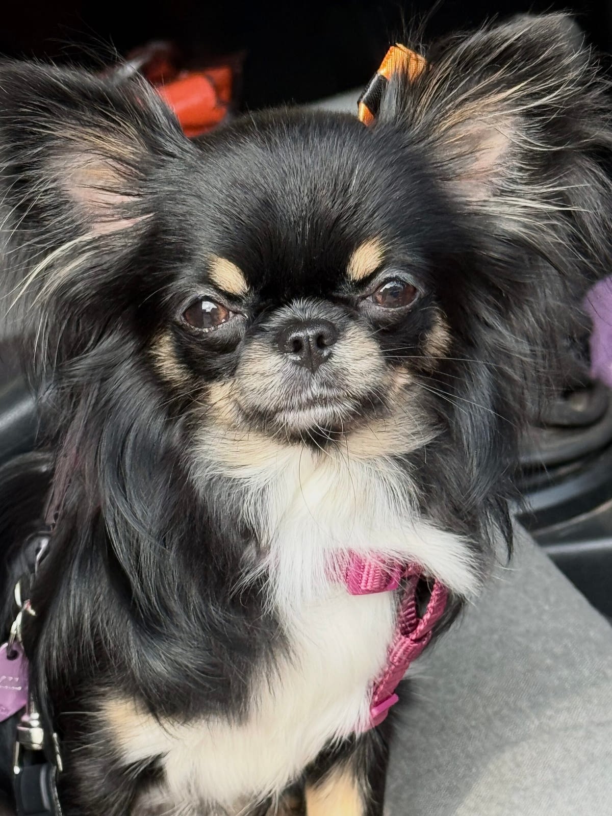 Emily 1 1D04C553 6390 433C A3EA C343A6E1C28C scaled