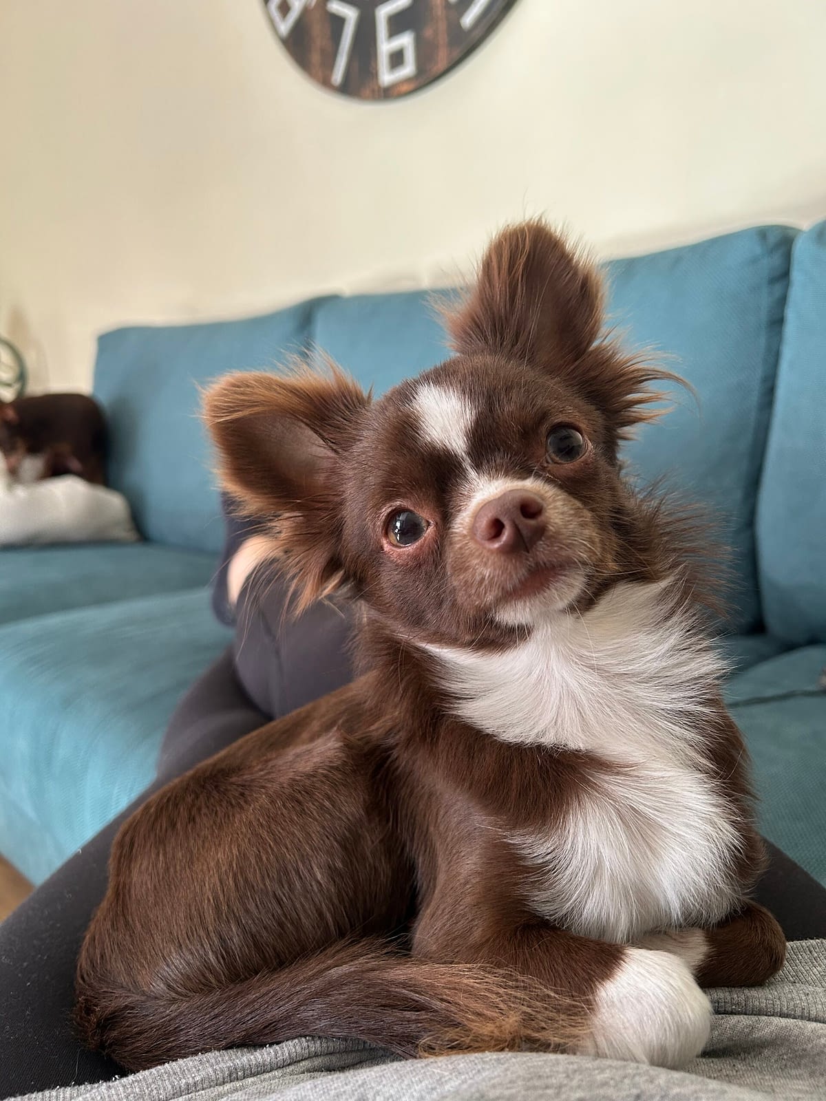 Whisky 1 IMG 1050 scaled