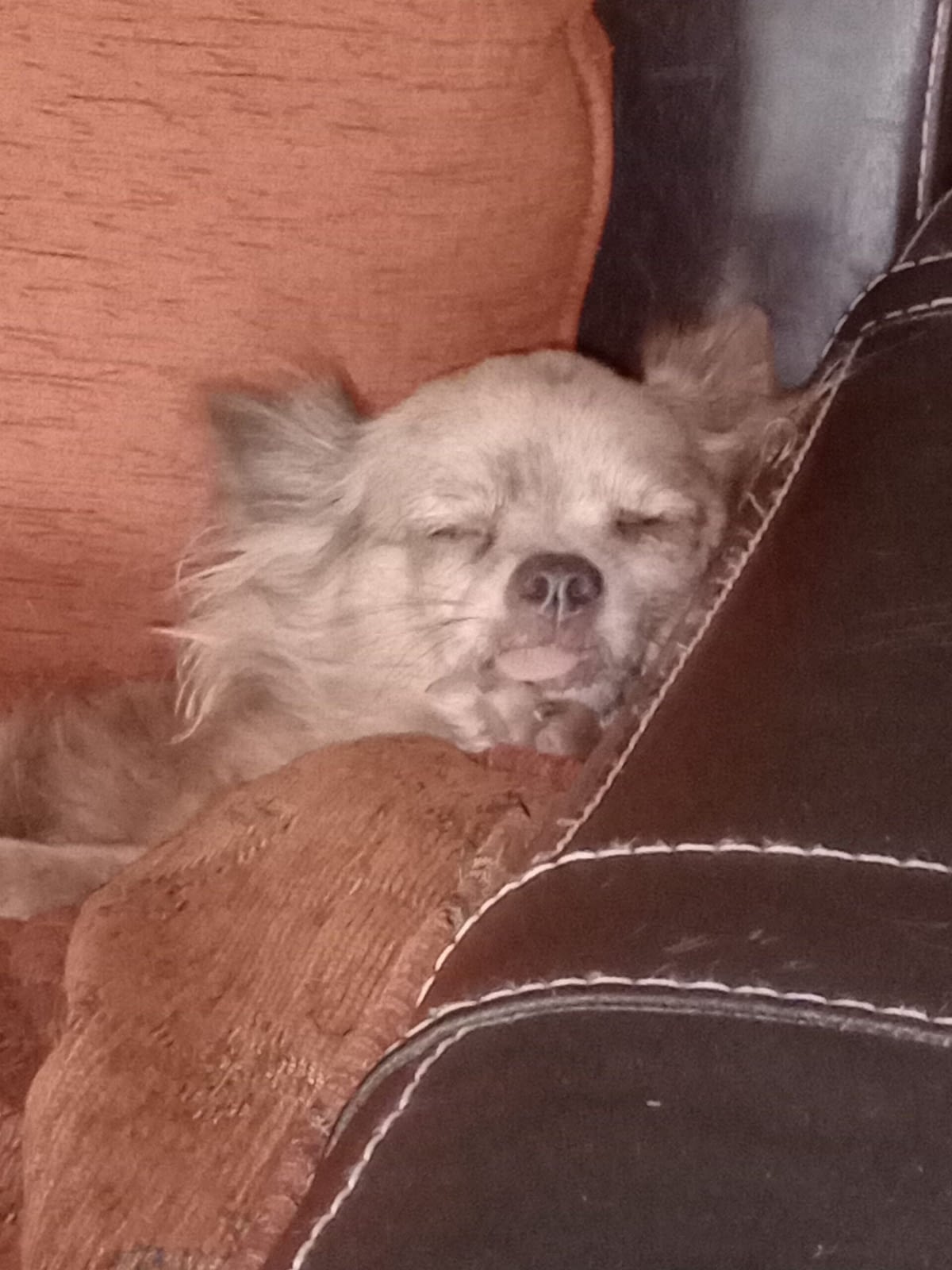 Luna 1 IMG 20231013 153249