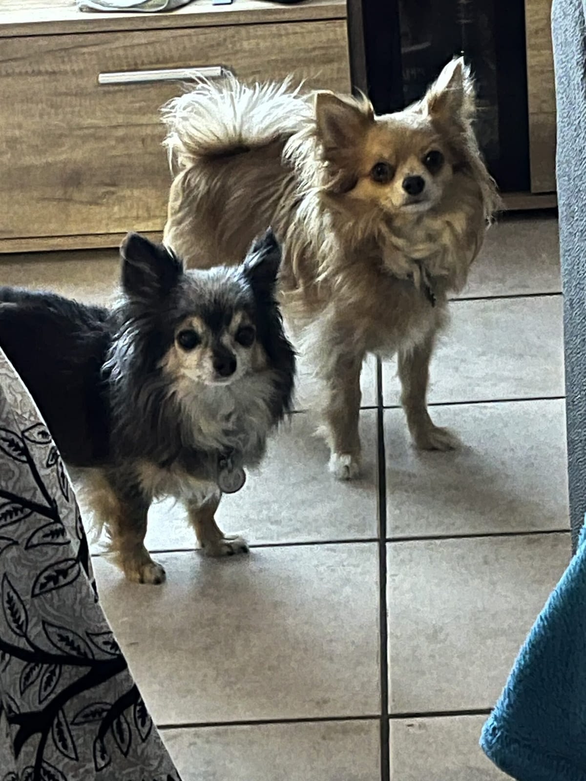 Lenny&Peggy 1 IMG 7609