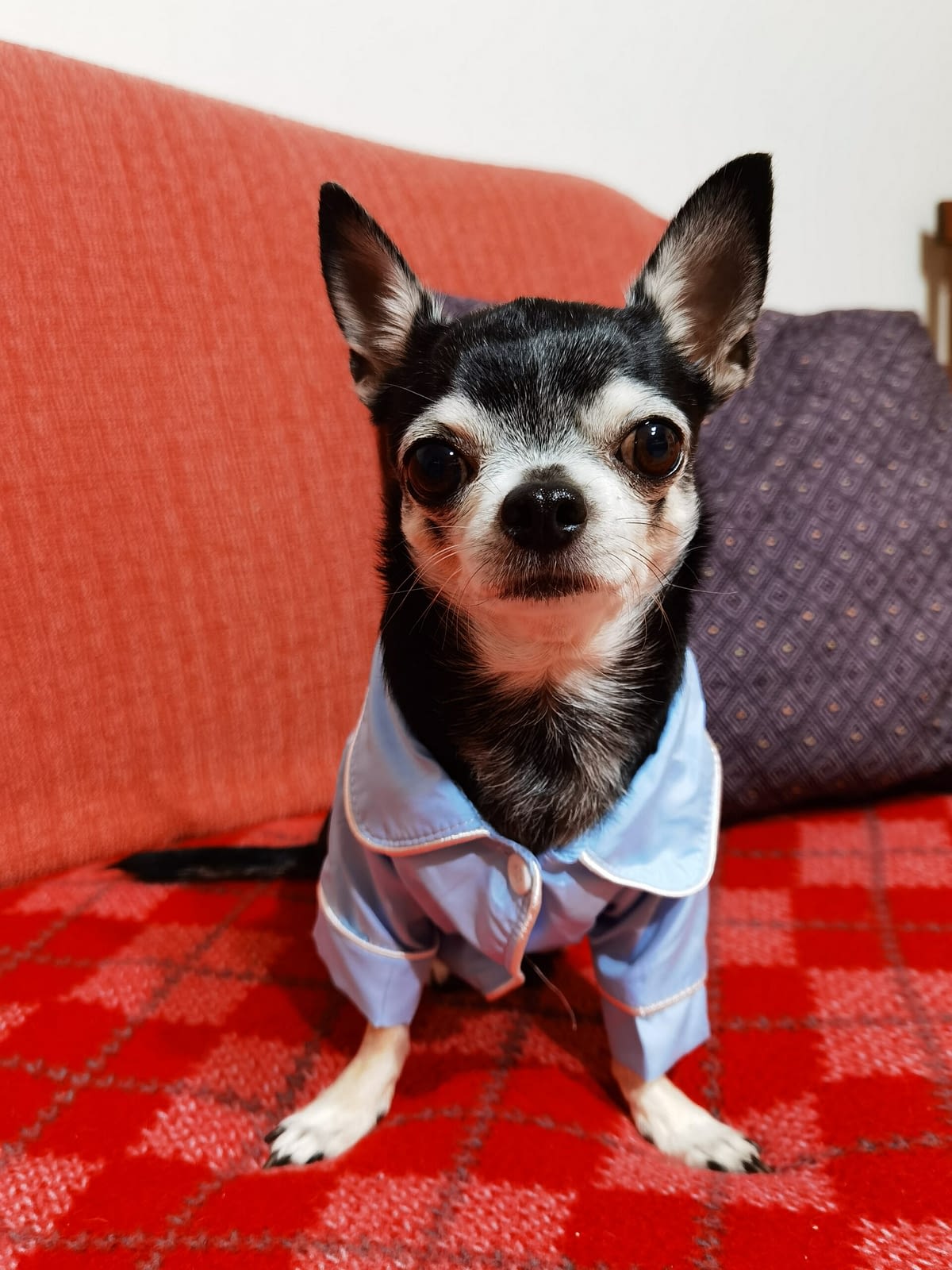 inbound3362911394174504683