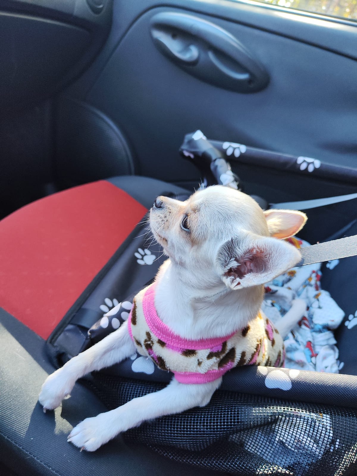 inbound3402439920807774246