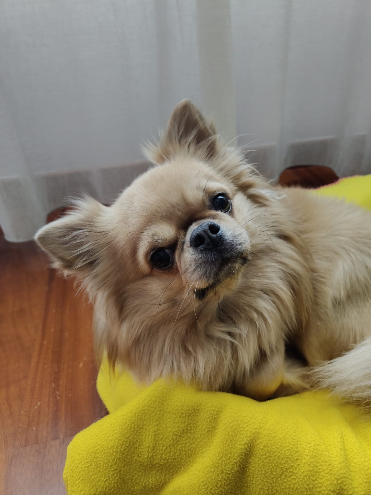 Ted 1 inbound3553052908103511472 scaled