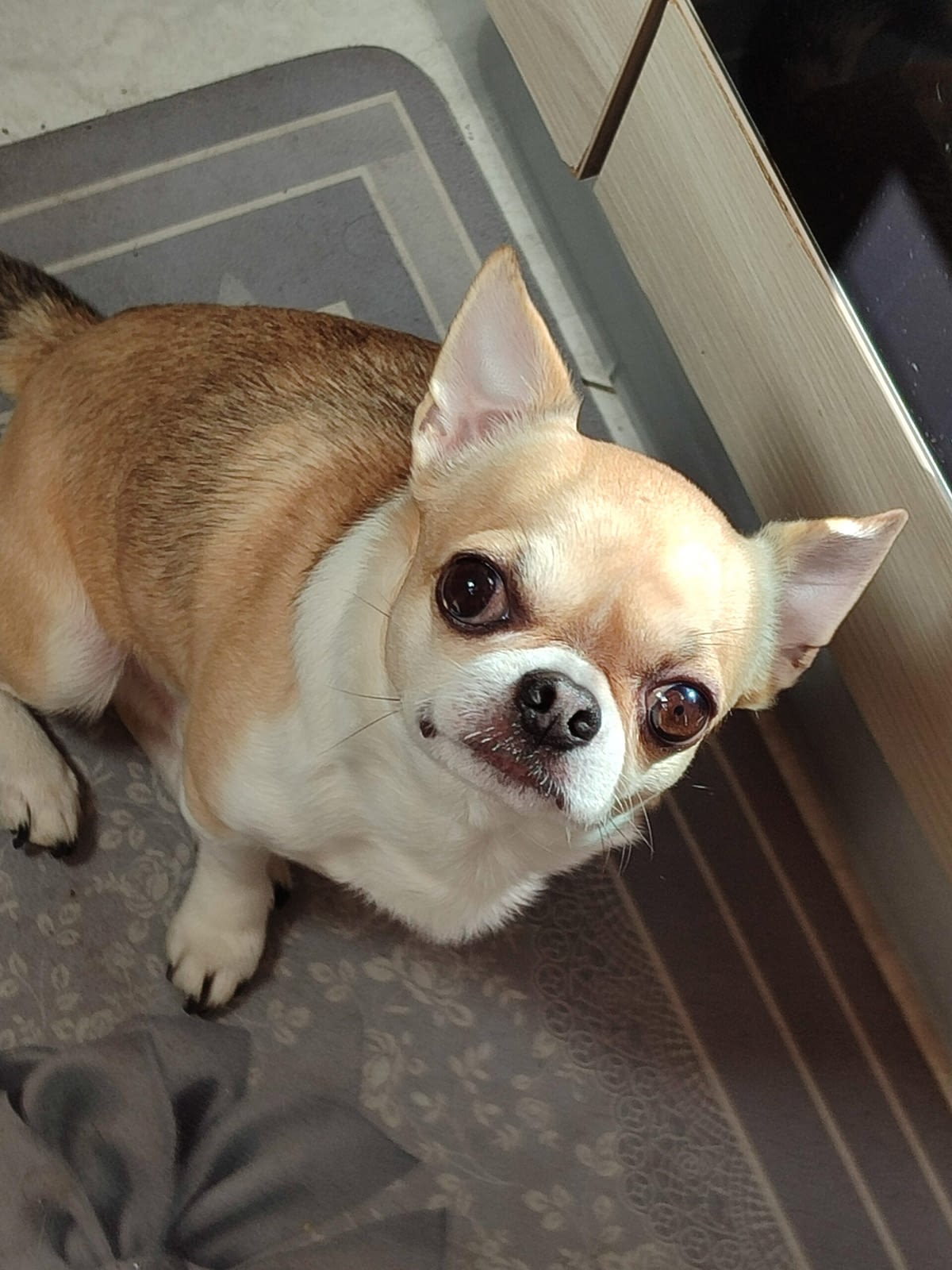 Messi 1 inbound358832274284117854