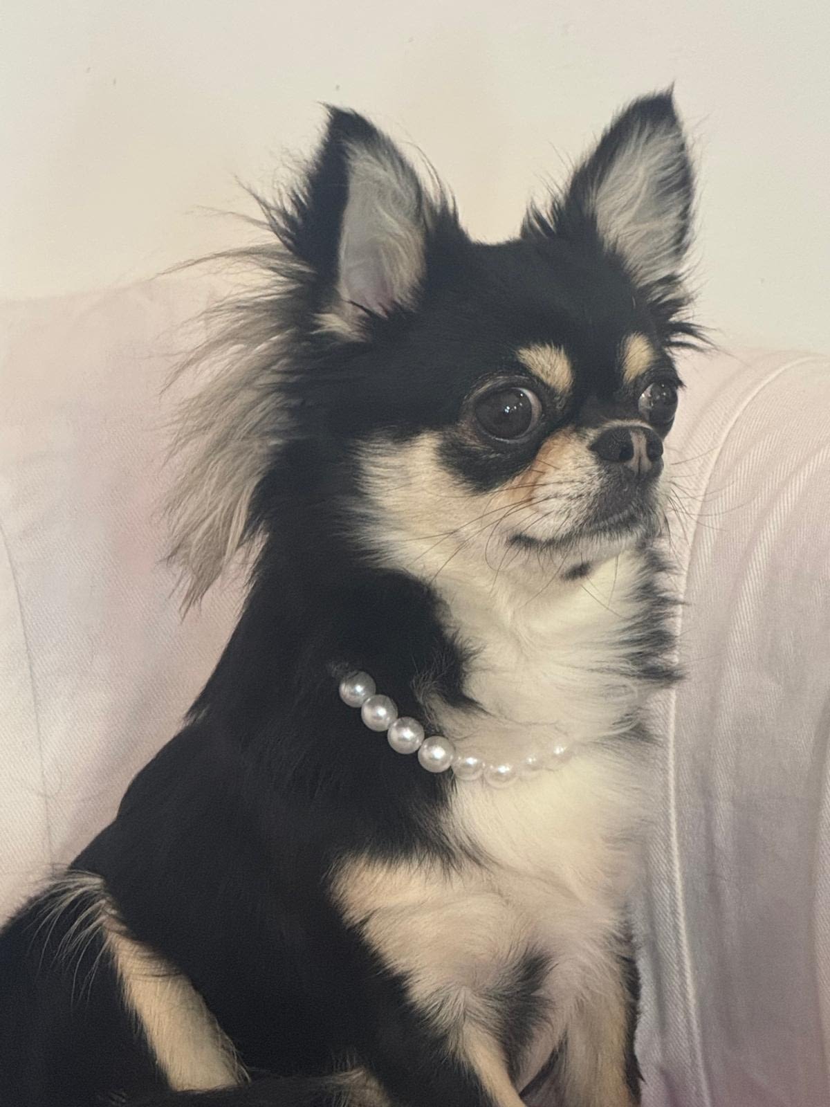 Cloe 3 inbound8218739031302785766