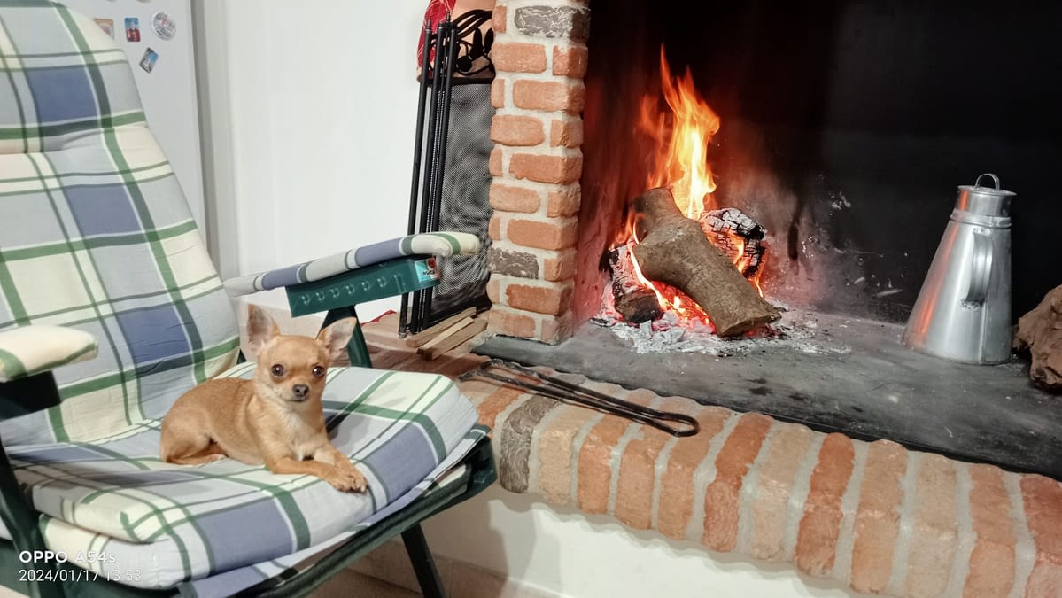 Mia 1 inbound3804265326376656796