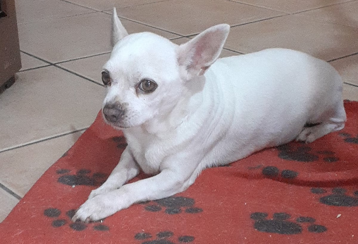 inbound5179997889803752785