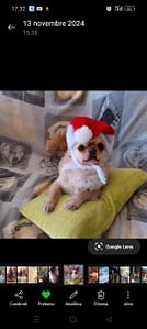 Malish 61 Screenshot 2025 11 04 17 32 30 37 99c04817c0de5652397fc8b56c3b3817