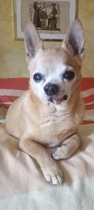 Legolas 398 inbound4472210582352231632