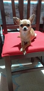 Mia 149 inbound3653670786945223519