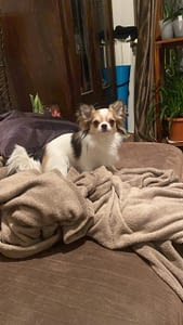 Maverick 303 C9226A34 F54F 46BE BCF4 BE01DAC5DA4B