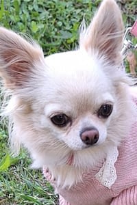 Mya 74 guest 1762086094 ead5 inbound4991911562293876431