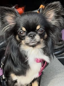 Emily 21 1D04C553 6390 433C A3EA C343A6E1C28C scaled