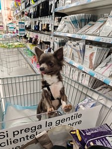 Blue 35 31cfab46 dcc9 4100 8ceb 28a62b5f19dc 1