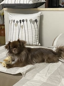 Tequila 419 IMG 2739