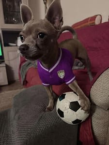 Mia 37 acef787ac2e4fe131a2a75861ce0e1bb