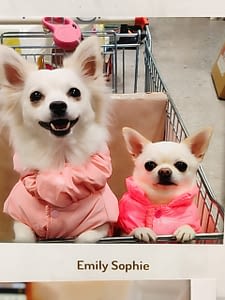 Emily e Sophie 58 inbound5389541005043160245 scaled