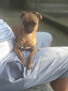 Enny 422 inbound7097975327065670323