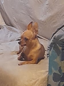 Stella 236 inbound7420029828481697681