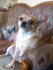 FƩbus 281 inbound2348121840004092949