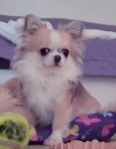 Arturo 76 guest 1762080768 c6cf inbound8987809249793577380