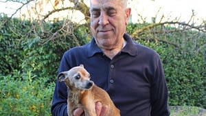 Briciola: Il Chihuahua-Pinscher che ha Vissuto 30 Anni ā Il Segreto di una Vita Lunga e Felice 21 briciola e morto il cane piu vecchio del mondo