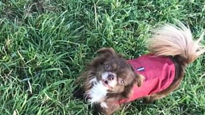 Vlad 20 inbound9128514584632070791